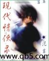 现代情侠录封面
