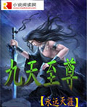 九天至尊封面