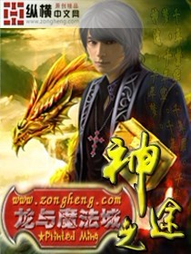 龙与魔法城之神途封面