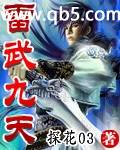 雷武九天封面