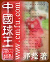 中国球王封面