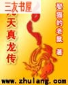 九天真龙传 九天真龙传