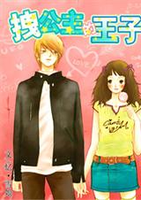 拽公主的王子封面