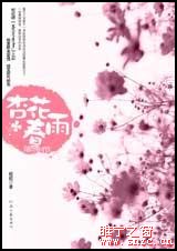 杏花春雨 杏花春雨