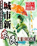城市新农民封面