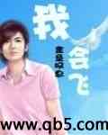 我会飞封面