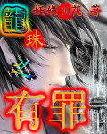 龙珠之有罪封面