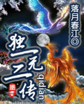 独一无二传 独一无二传