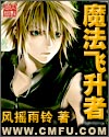魔法飞升者封面
