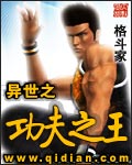 异世之功夫之王封面