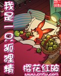 我是一只狐狸精封面
