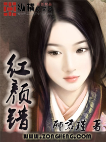 红颜错封面