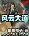 风云大道封面