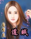 道贼封面