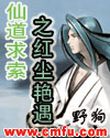 仙道求索之红尘艳遇封面