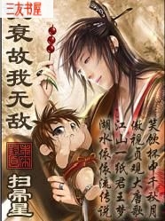 我衰故我无敌封面