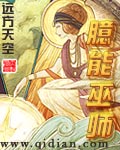臆能巫师封面