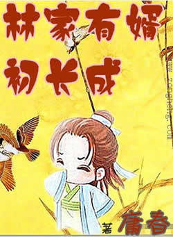 林家有婿初长成 林家有婿初长成
