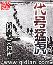 代号猛虎 代号猛虎
