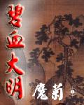 碧血大明封面