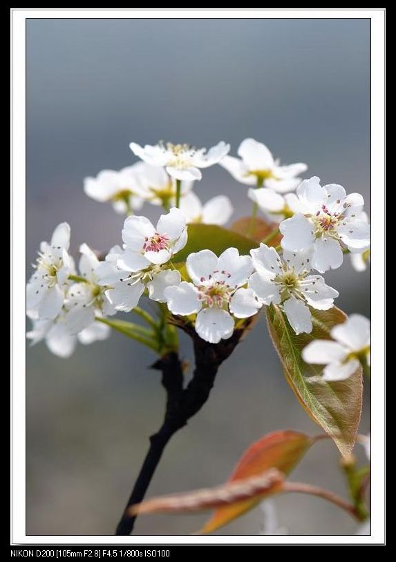 好景良天 好景良天