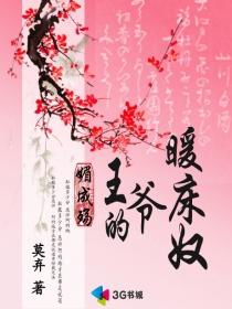 媚成殇:王爷的暖床奴封面