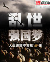 乱世强国梦封面