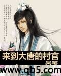 来到大唐的村官 来到大唐的村官