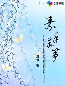 素手华筝 素手华筝