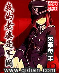我的老婆是军阀封面