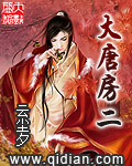 大唐房二封面