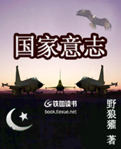 国家意志封面