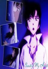 巴黎浪漫之旅新兰同人封面