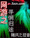 网游之寻惘归途 网游之寻惘归途