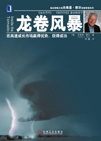 龙卷风暴 龙卷风暴