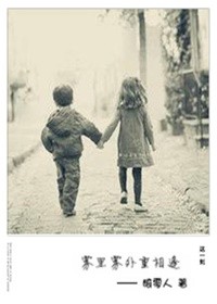 雾里雾外重相逢封面