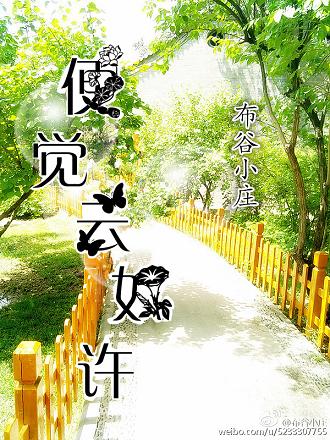 �������������