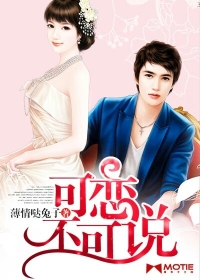 可恋不可说封面