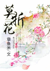 莫折花封面