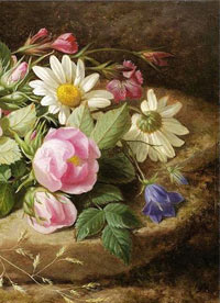 空间之民国女医 空间之民国女医