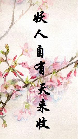 妖人自有天来收封面