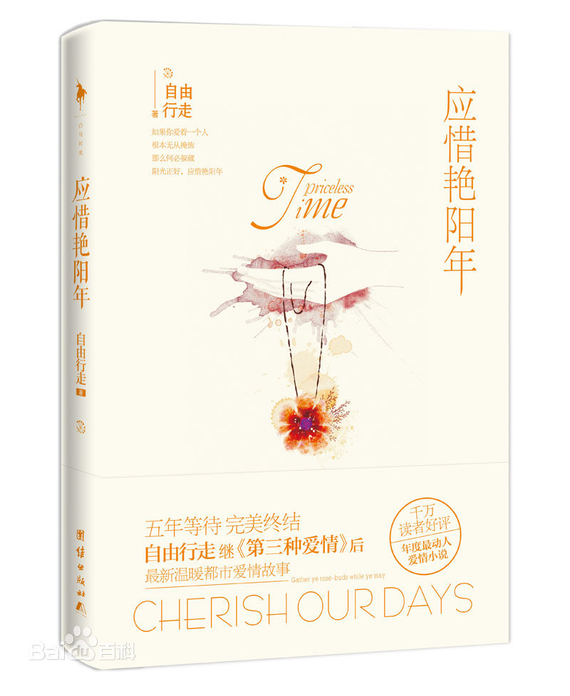 应惜艳阳年封面