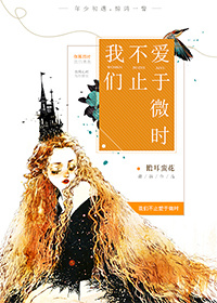 我们不止爱于微时封面