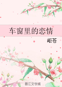 车窗里的恋情封面