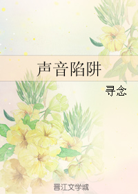 声音陷阱 声音陷阱