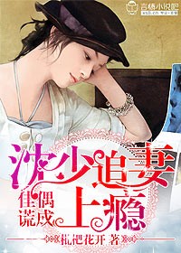 佳偶谎成,沈少追妻上瘾封面