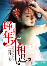 瑾年不相迟封面