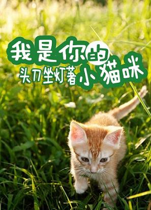 我是你的小猫咪 我是你的小猫咪