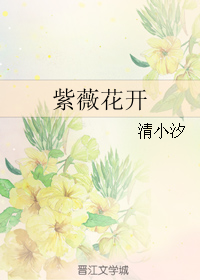 ��ޱ��������