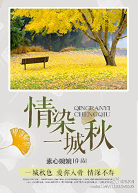 情染一城秋-男神专宠封面